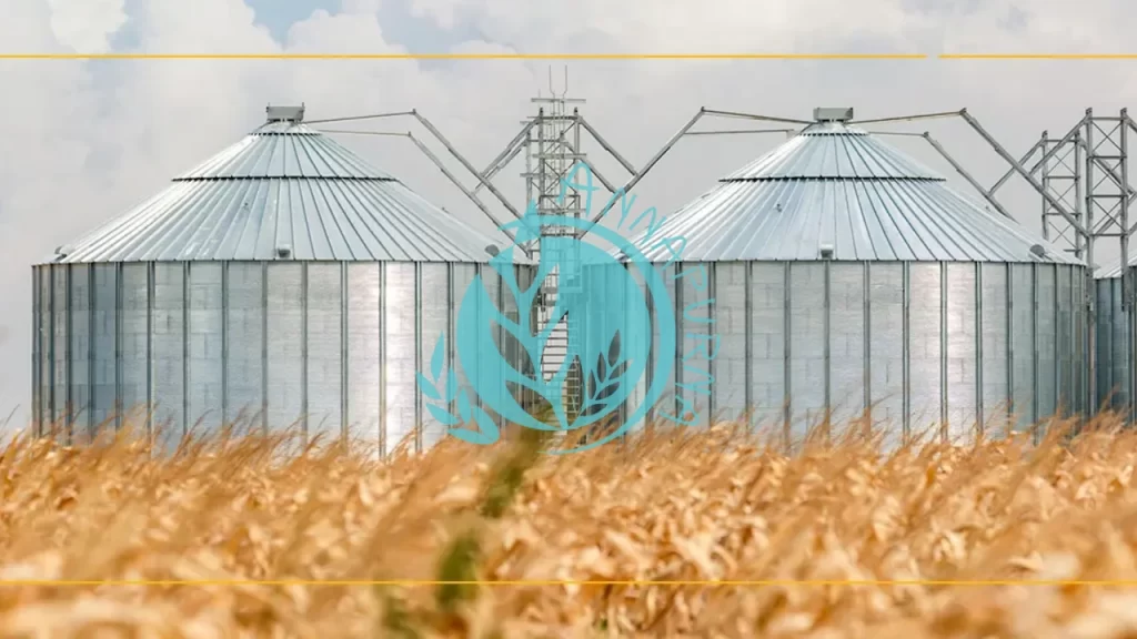 Read more about the article Grain Farming Process: From the Field to the Bin to Planning Next Year’s Season