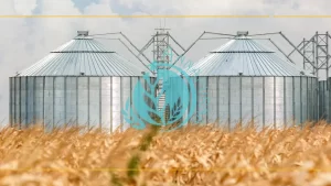 Read more about the article Grain Farming Process: From the Field to the Bin to Planning Next Year’s Season
