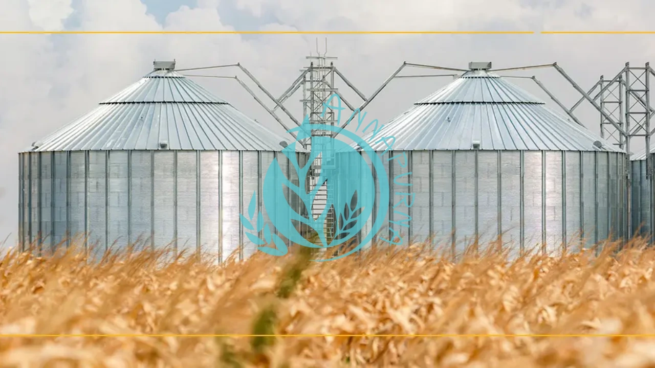 You are currently viewing Grain Farming Process: From the Field to the Bin to Planning Next Year’s Season