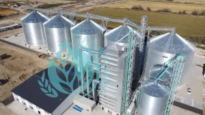 Read more about the article How Much Does it Cost to Build a Grain Silo?
