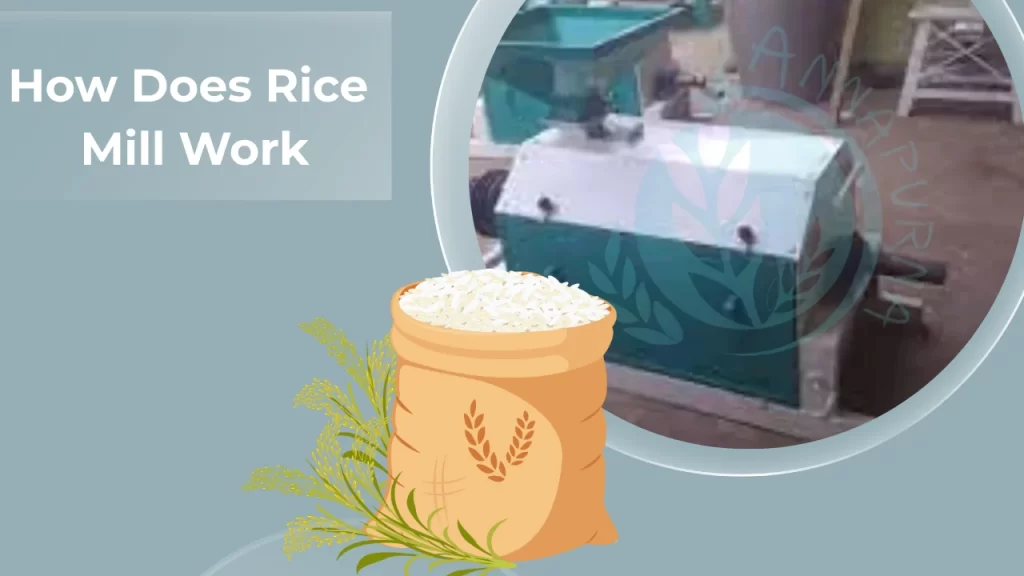 Read more about the article How Does Rice Mill Work?