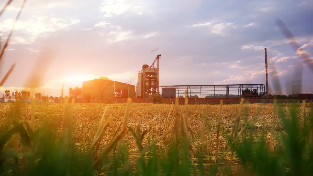 You are currently viewing Rice Milling Industry in India: Market Size, Growth & Challenges