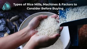 Read more about the article Types of Rice Mills, Machines & Factors to Consider Before Buying
