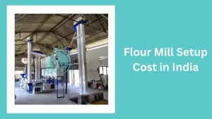 Read more about the article Flour Mill Setup Cost in India