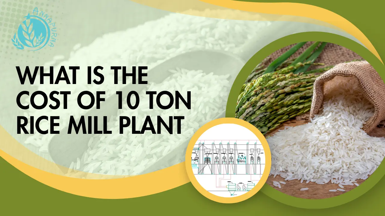 You are currently viewing What is the Cost of 10 Ton Rice Mill Plant in India?
