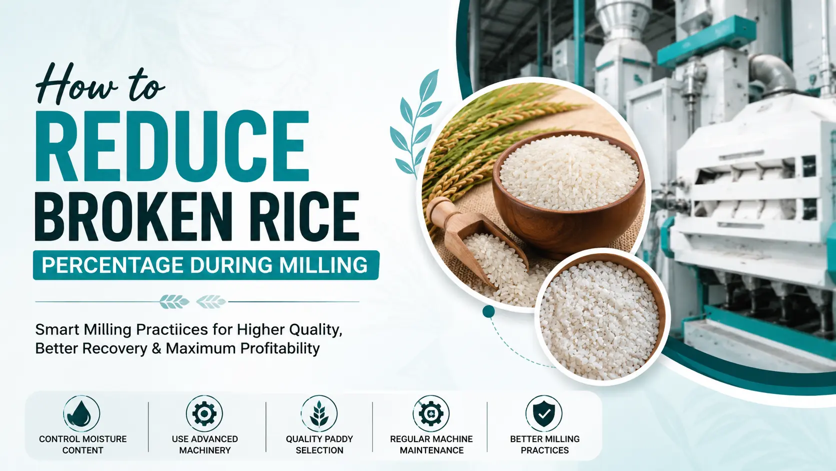 You are currently viewing How to Reduce Broken Rice Percentage During Milling