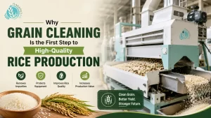 Read more about the article Why Grain Cleaning Is the First Step to High-Quality Rice Production