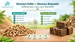 Read more about the article Biomass Pellet vs Biomass Briquette: Differences, Uses and Benefits